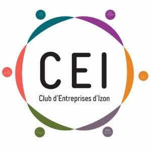 Egpb Installation Domotique Bordeaux Egpb Installation Domotique Bordeaux CEI Logo Cei